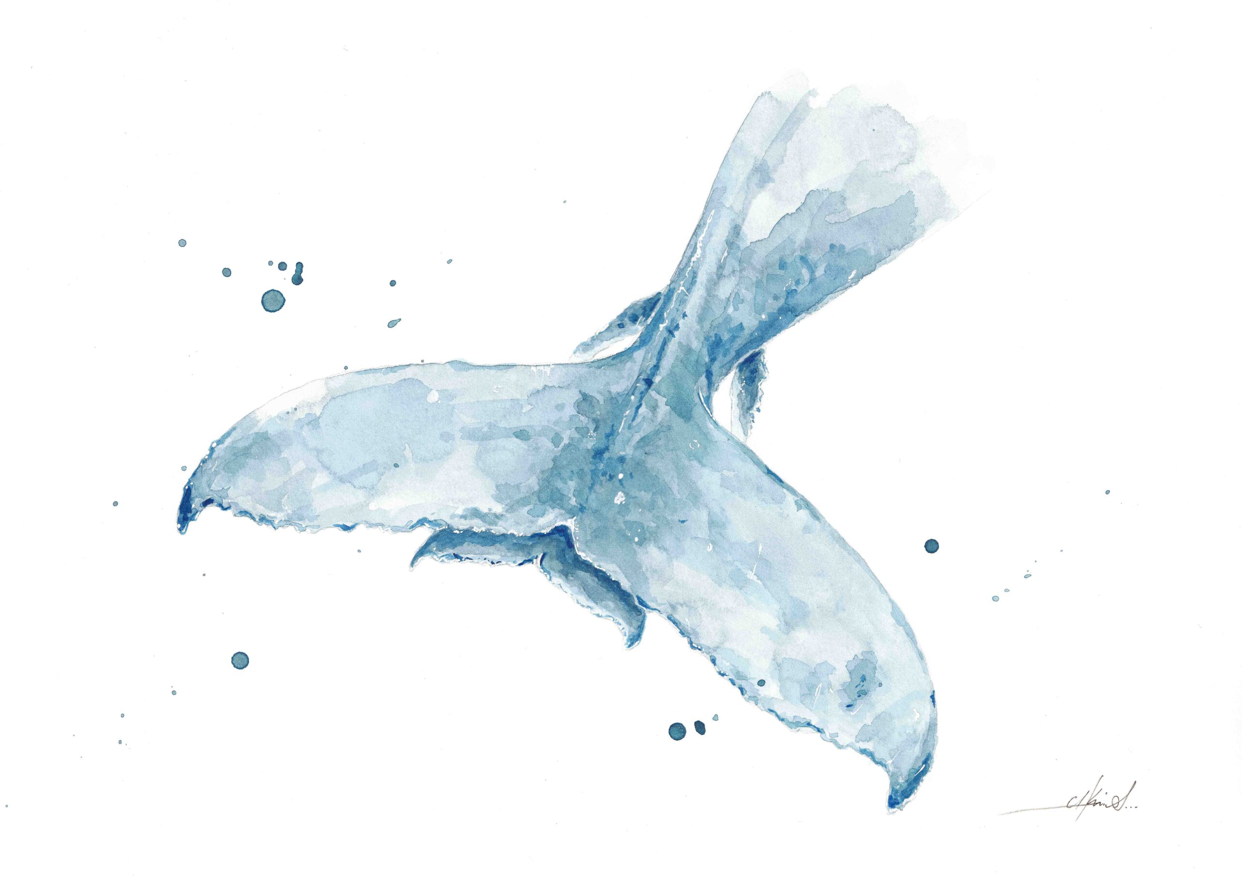 Acuarela de la cola o aleta caudal de una ballena jorobada o yubarta con su cría debajo. La pintura se destaca por tonos azul claro y un fondo blanco, con salpicaduras de pintura que añaden un toque dinámico y vibrante.