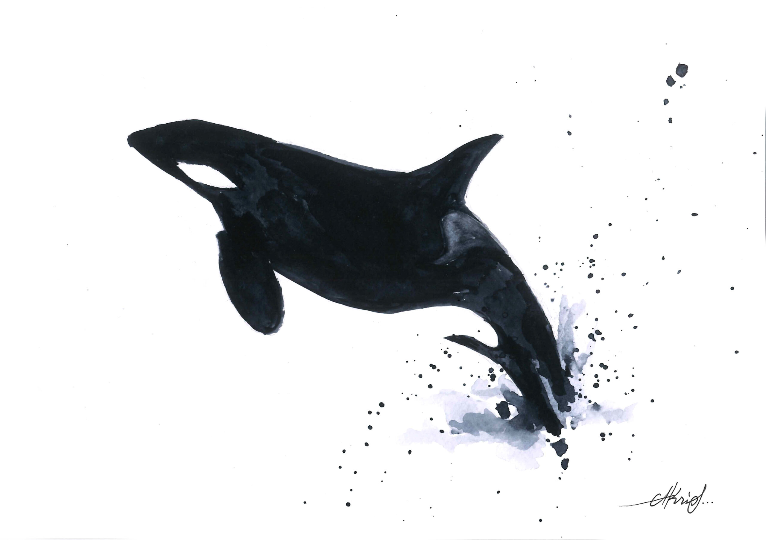 Orca jump II