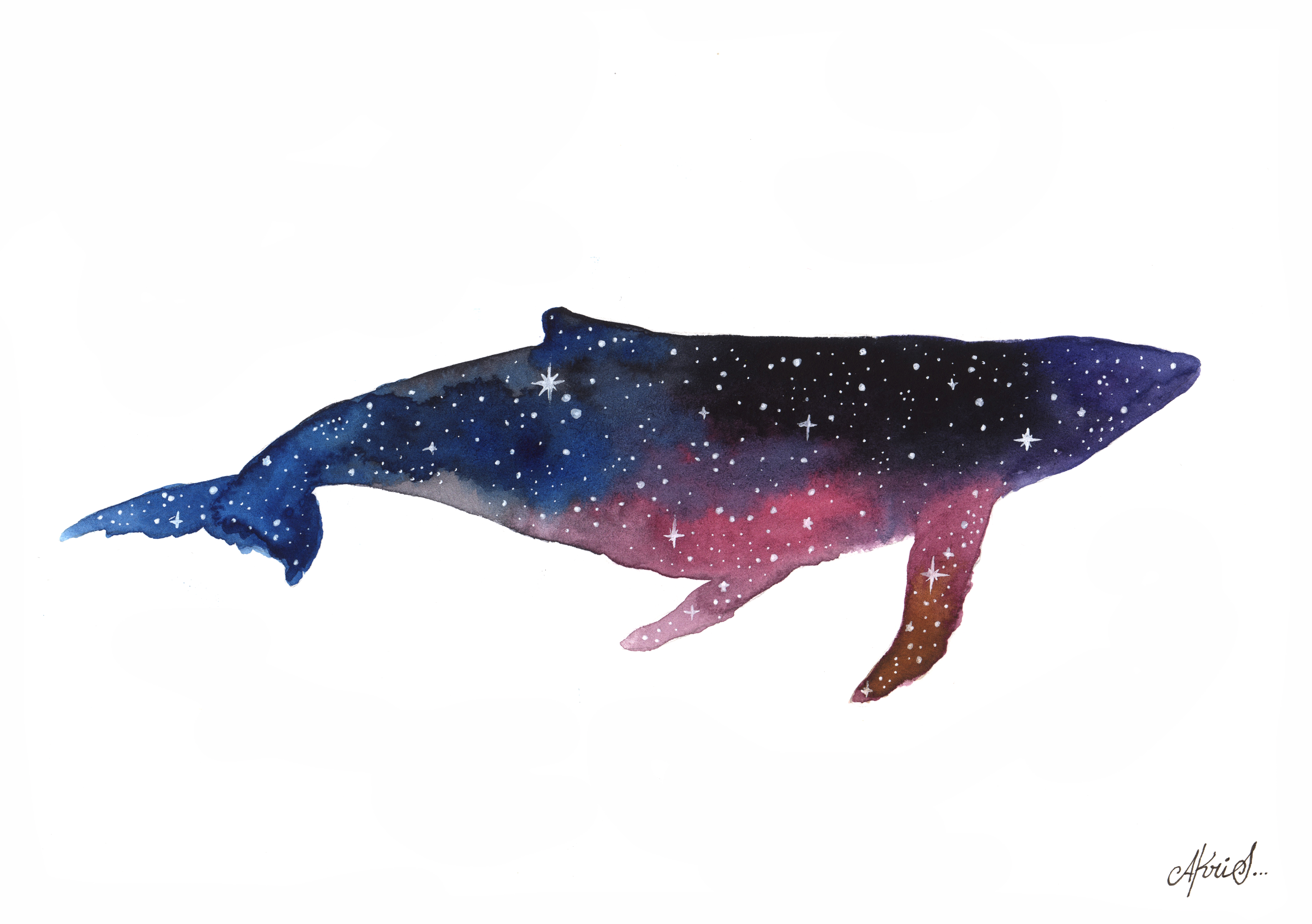 The Universe in a whale