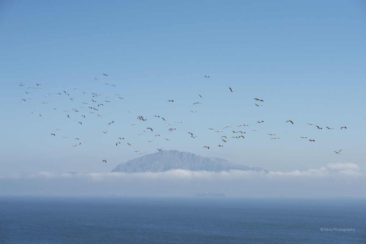Monte Musa, Estrecho de Gibraltar. 2022